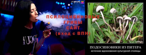 крисы Инсар