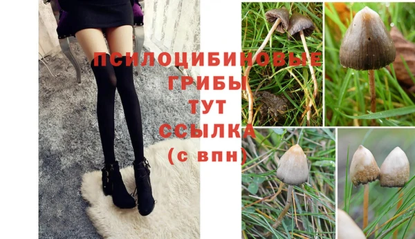 крисы Инсар