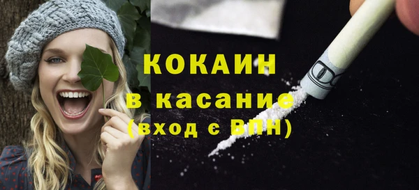 крисы Инсар