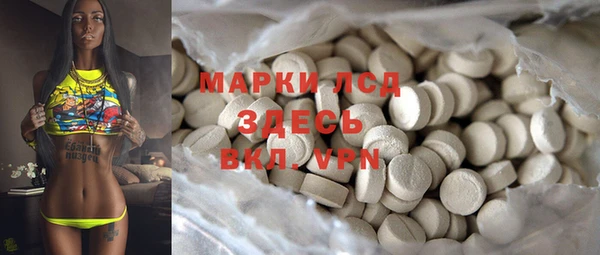 мяу мяу мука Инта