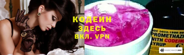 крисы Инсар