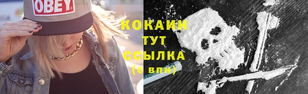 мяу мяу мука Инта
